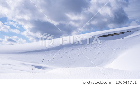 鳥取沙丘的雪景 136044711