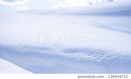 鳥取沙丘的雪景 鳥取沙丘的雪景 136044712