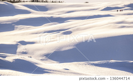 Snowy landscape of Tottori Sand Dunes Snowy landscape of Tottori Sand Dunes 136044714