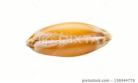 Macro Shot Of A Single Golden Wheat Grain Isolated On White Background 136044779