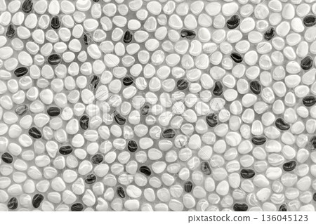A close up of white and black seeds scattered on a textured surface Demonstration Color of the Year 2026 136045123