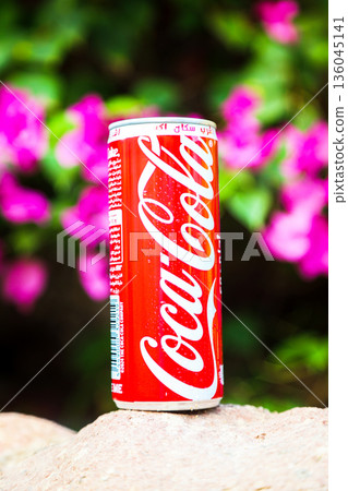 Egypt, Sharm El Sheikh - September 27, 2025 A can of Coca-Cola soda among the brightly blooming greenery in the garden. Editorial 136045141