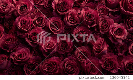 優雅華麗的玫瑰花牆背景 | 紅色 136045541
