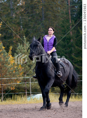 Young Woman Riding Black Horse Through Autumn Forest Paddock Young Woman Riding Black Horse Through Autumn Forest Paddock 136045983