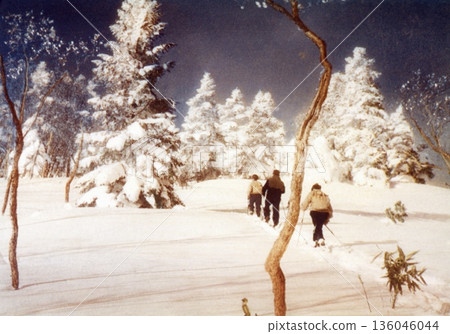 Old photo, 1953-1954, snowy scenery of Shiga Kogen, Nagano Prefecture Old photo, 1953-1954, snowy scenery of Shiga Kogen, Nagano Prefecture 136046044