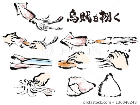 Japanese style brush illustration material set for cutting squid Japanese style brush illustration material set for cutting squid 136046248