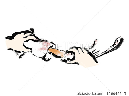 Japanese style brush illustration material for pulling out and cutting squid 136046345