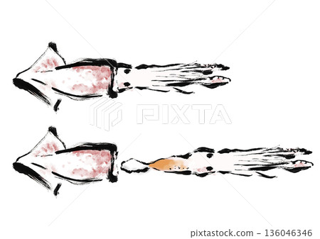 日式毛筆插畫素材，描繪了魷魚的取出和切割過程 136046346