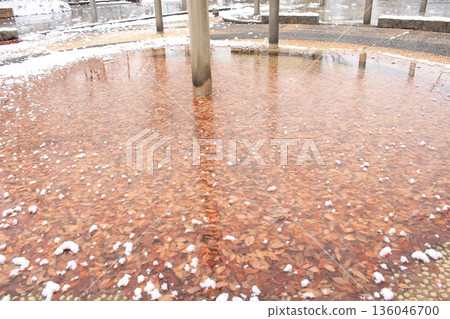 我拍了一張凍住的落葉的照片。 我拍了一張凍住的落葉的照片。 136046700