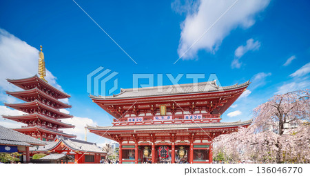 Sensoji Temple in spring, five-story pagoda and cherry blossoms Sensoji Temple in spring, five-story pagoda and cherry blossoms 136046770
