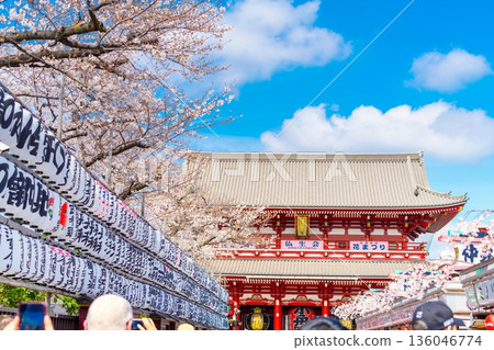 東京淺草寺的櫻花 136046774