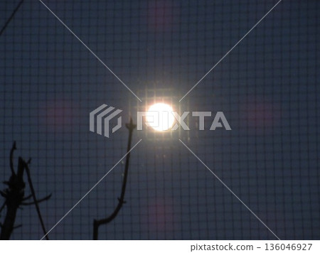 Snow Moon through a wire mesh Snow Moon through a wire mesh 136046927