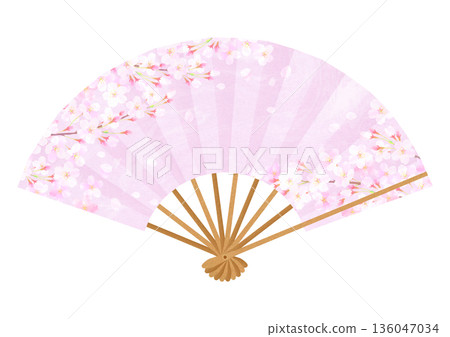 Illustration of a gorgeous cherry blossom fan Illustration of a gorgeous cherry blossom fan 136047034