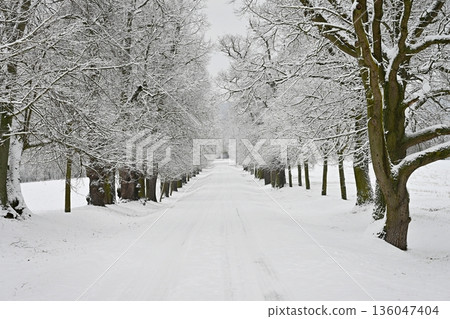 Snowy winter road. Dangerous car driving in the mountains in the winter. Concept for transportation, cars and travel. 136047404