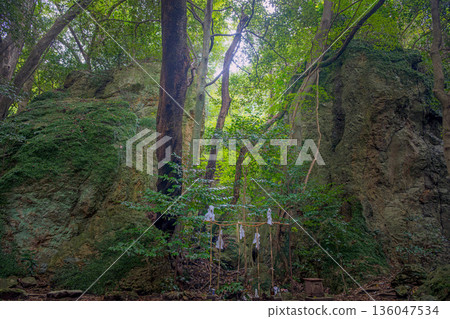 島根縣出雲市立石神社、原始森林中的岩倉 136047534