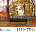 Autumn leaves in the forest and a wooden bench. Autumn outing image. 136047541