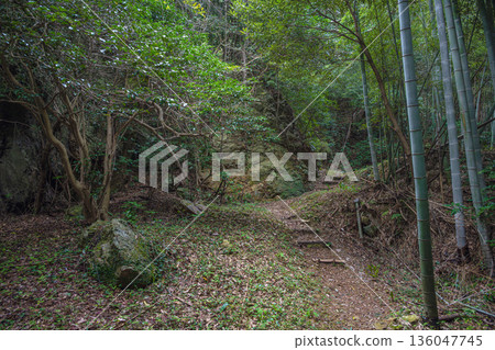島根出雲立石神社神林 島根出雲立石神社神林 136047745