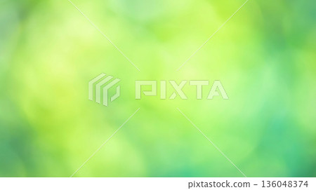 Spring background image of sunlight filtering through the leaves Spring background image of sunlight filtering through the leaves 136048374