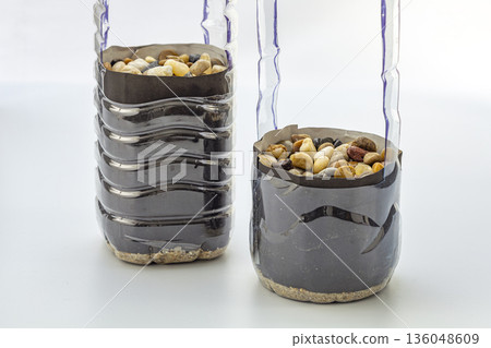 Creative DIY plastic bottle planters from recycled materials, eco-friendly gardening and sustainable upcycling project concept Creative DIY plastic bottle planters from recycled materials, eco-friendly gardening and sustainable upcycling project concept 136048609
