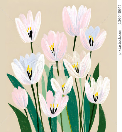 Abstract painting of white and pink tulip flowers with green leaves.  136048645