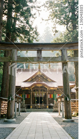 A fictional shrine with beautiful elaborate wooden architecture, shrine building and guardian lions. Fictional blessings, no punishment, 3DCG 136048885