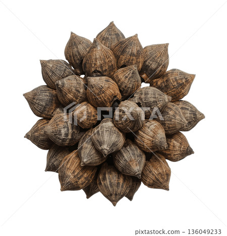 Unique Structure Made of Natural Materials Found in Craft Workshop During Daytime 136049233