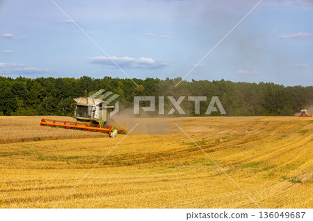 Harvesters collect ripe grain in vast fields as clouds drift by, highlighting the beauty of agriculture 136049687