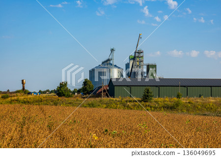 Large silos tower above golden fields, showcasing the farming industrys dedication to grain storage and processing in a sunny landscape 136049695
