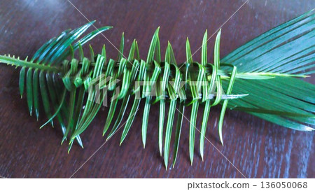 I tried weaving cycad leaves for the first time in 50 years, but I'm terrible at it! I tried weaving cycad leaves for the first time in 50 years, but I'm terrible at it! 136050068