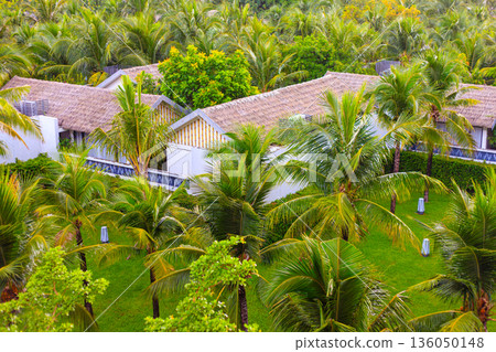 Iceland Phu Quoc Vietnam 5.7.2025. A lush green tropical garden with palm trees and a white house Iceland Phu Quoc Vietnam 5.7.2025. A lush green tropical garden with palm trees and a white house 136050148