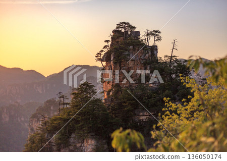 Zhangjiajie national forest park. A mountain with a tree on top and a sunset in the background 136050174