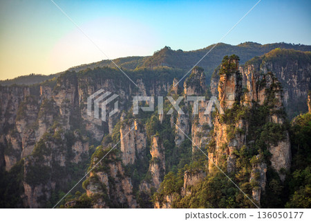 Zhangjiajie national forest park. The mountains are covered in trees and the sky is blue 136050177