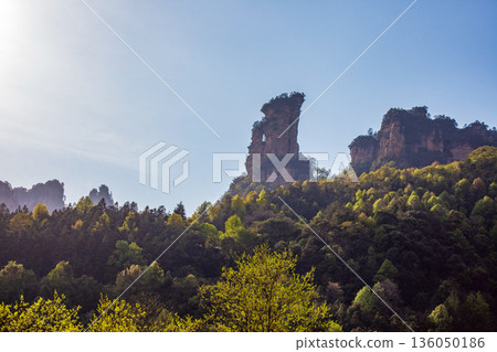 Zhangjiajie national forest park. A mountain range with a clear blue sky and trees Zhangjiajie national forest park. A mountain range with a clear blue sky and trees 136050186