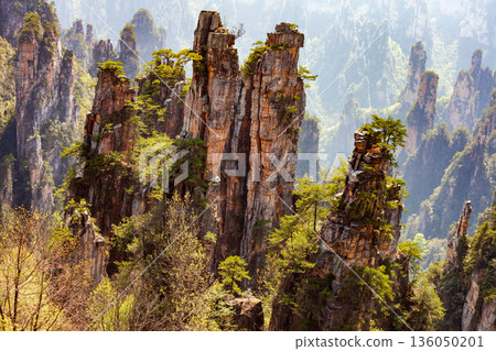 A mountain range with a lot of trees and a few rocks 136050201