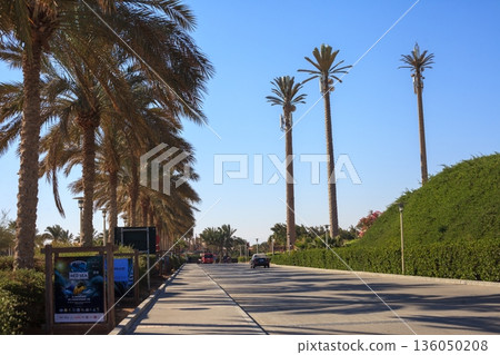 El Gouna Egypt 2.11.2025. A street with palm trees lining the road and a sign advertising a fish tank 136050208