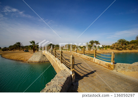 A bridge spans a river with a lush green forest on either side A bridge spans a river with a lush green forest on either side 136050297