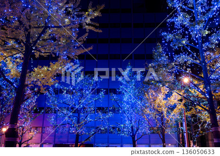 Winter street trees decorated with blue illuminations 136050633