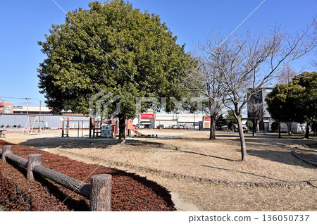 越谷散步:越谷市新越谷七座第二公園 越谷散步:越谷市新越谷七座第二公園 136050737
