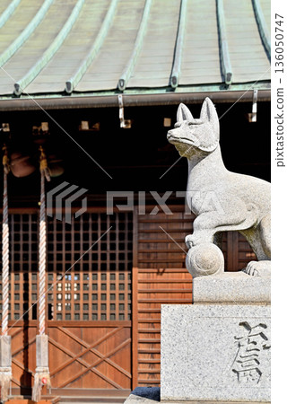 Walking around Koshigaya: Shimo Nanaza Inari Shrine, Komainu Fox, Shinkoshigaya (formerly Nanazacho), Koshigaya City Walking around Koshigaya: Shimo Nanaza Inari Shrine, Komainu Fox, Shinkoshigaya (formerly Nanazacho), Koshigaya City 136050747