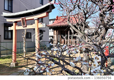 Walking around Koshigaya: Kitano Tenmangu Shrine (an outpost of Shimo-Nanaza Inari Shrine) Shin-Koshigaya, Koshigaya City Walking around Koshigaya: Kitano Tenmangu Shrine (an outpost of Shimo-Nanaza Inari Shrine) Shin-Koshigaya, Koshigaya City 136050756