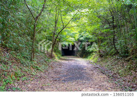 從原船木鐵道上眺望大谷隧道(宇部市) 從原船木鐵道上眺望大谷隧道(宇部市) 136051103