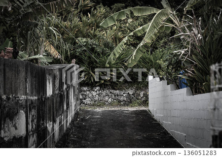 Alley of Okinawa Alley of Okinawa 136051283