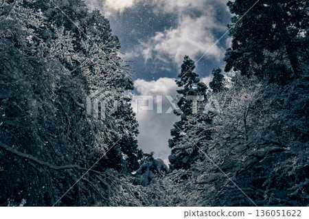 Winter sky overlooking a snow-covered forest 136051622