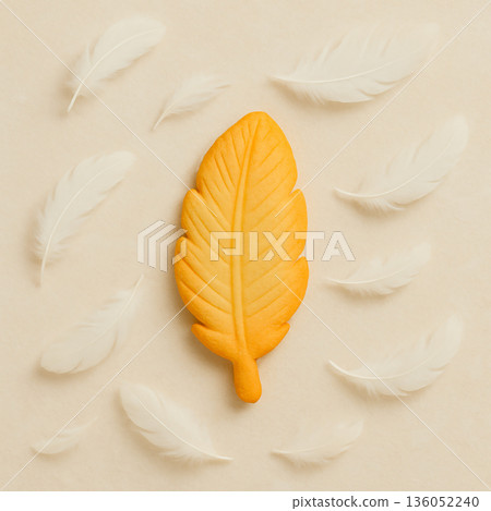 一塊形狀像羽毛的普通餅乾，周圍環繞著白色的羽毛。 136052240