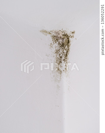 Mold in the corner of light wall Mold in the corner of light wall 136052291