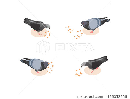 Pigeons vector cartoon bird set isolated on white background stock illustration Pigeons vector cartoon bird set isolated on white background stock illustration 136052336