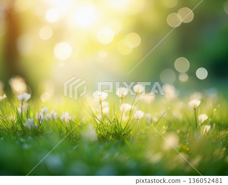 Bokeh background material that gives a feeling of the soft light of spring Bokeh background material that gives a feeling of the soft light of spring 136052481