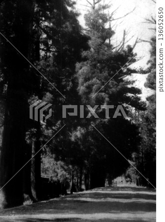 1953-1954年日光杉樹大道的老照片 1953-1954年日光杉樹大道的老照片 136052650
