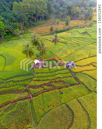 Beautiful morning view in Indonesia, panoramic landscape of rice fields with mountain ranges and clear sky Beautiful morning view in Indonesia, panoramic landscape of rice fields with mountain ranges and clear sky 136052845