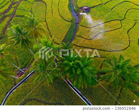 Beautiful morning view in Indonesia, panoramic landscape of rice fields with mountain ranges and clear sky 136052846